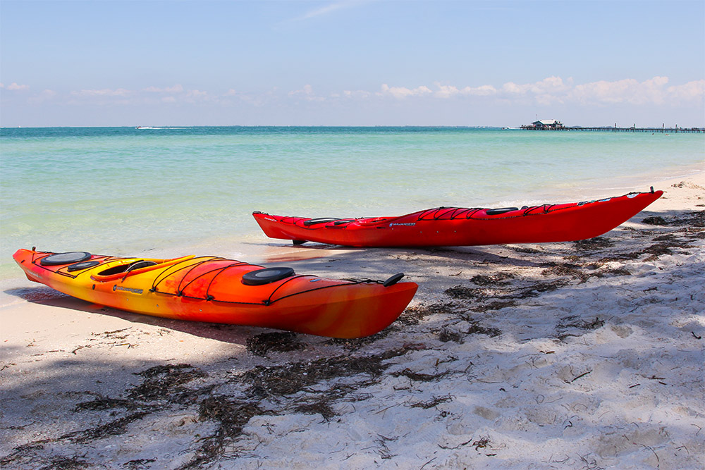 tampa bay